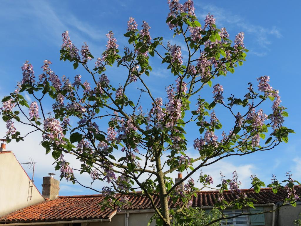 L'Aubinoise Bed & Breakfast Saint-Aubin-la-Plaine ภายนอก รูปภาพ